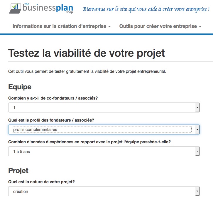 Webmaster business plan template