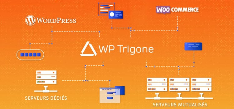 Alojamiento WordPress especializado en WP Trigon