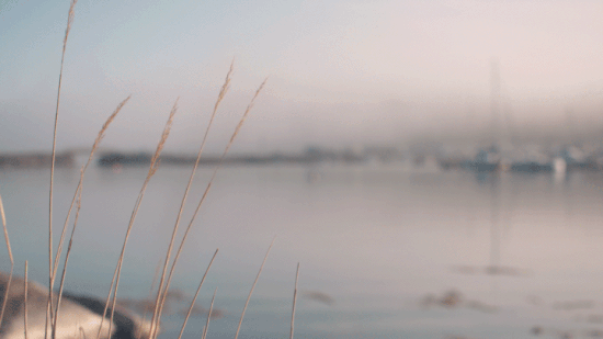 exemple cinemagraphe Webdesign & Intégration C'Design. 3 nouvelles tendances pour des pages qui convertissent