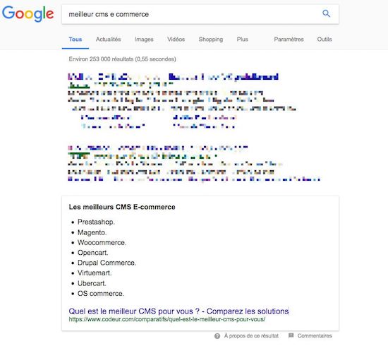 exemple de snippet google