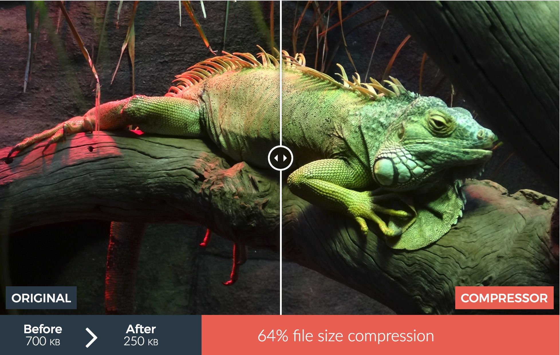 14 outils et solutions pour la compression de vos images en ligne - À ...