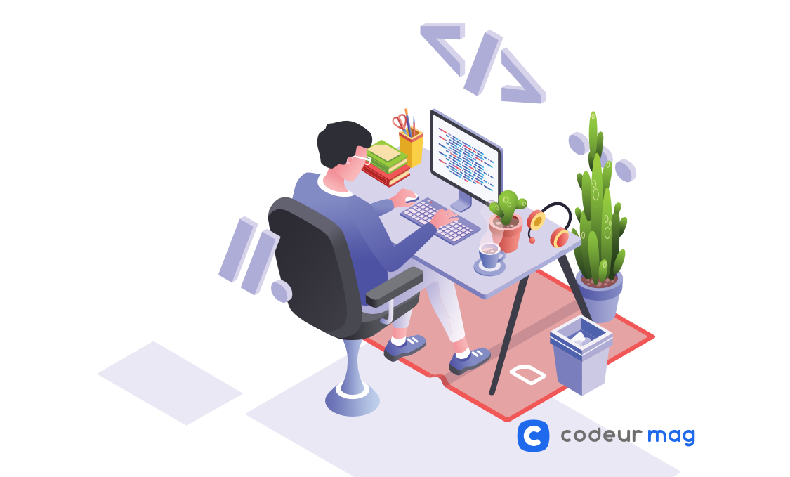 Developpeur Web Quelles Competences Pour Exercer Le Metier Infographie