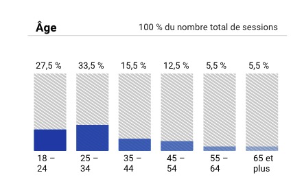 Audience Google Analytics