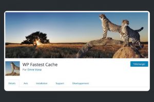 Les 4 meilleurs plugins de cache Wordpress (gratuit & payant)