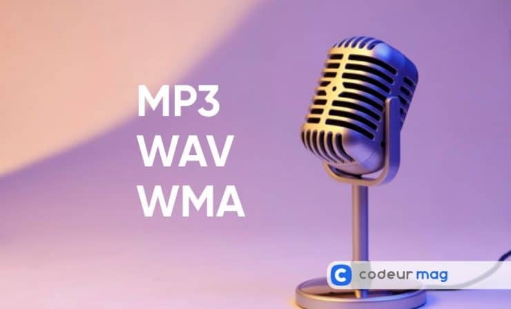 triste Inolvidable ojo MP3, WAV, WMA, quel format choisir pour votre audio ? - Codeur Blog