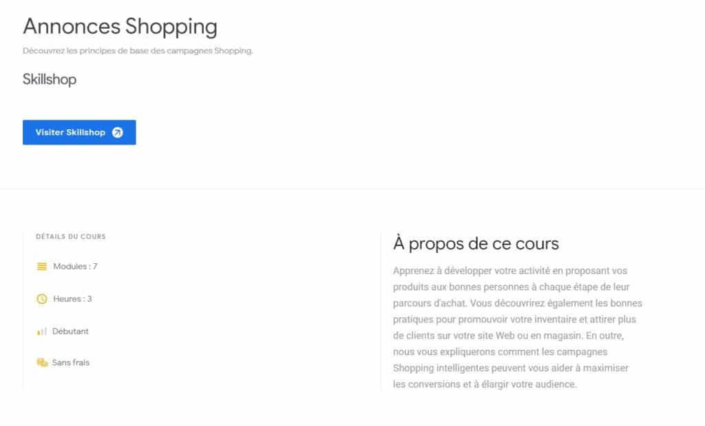 6. formation_en_ligne_google_shopping