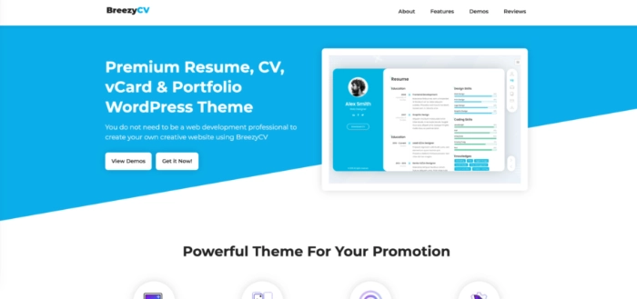 theme-cv-wordpress