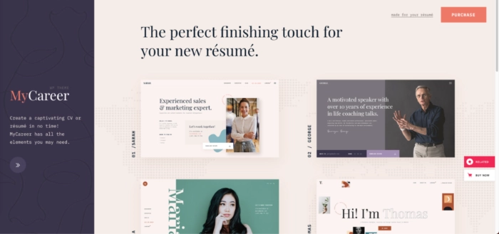 theme-cv-wordpress