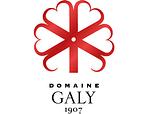 Logo Société Galy