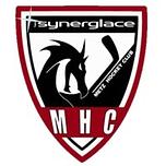 Logo Metz hockey club