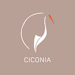 Logo Ciconia