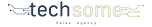 Logo Techsome