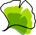 Logo AEPE Gingko