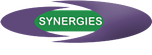 Logo Synergie DCF