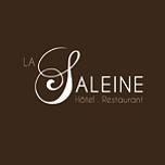 Logo La Saleine