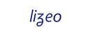 Logo Lizeo Online Media Group