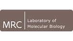 Logo MRC- Laboratory of Molecular Biology, UK