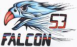 Logo Team falcon 53