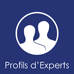 Logo Profils d’experts
