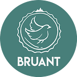 Logo Bruant Entreprise