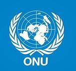 Logo Organisation des nations unies