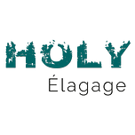 Logo HOLY Elagage