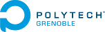 Logo Institut polytechnique de Grenoble ou Grenoble INP