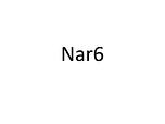 Logo Nar6