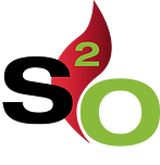 Logo S2O