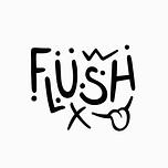 Logo Flush