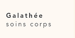 Logo Galathée Soins Corps