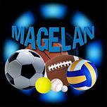 Logo Magelan Software