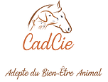 Logo CADCIE