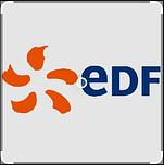 Logo EDF-CNPE-Dampierre(45)--France