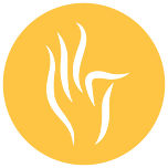 Logo Chin Mudra