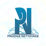 Logo Prodige Nettoyage