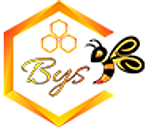 Logo BYSLIB