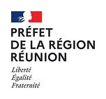 Logo DIRECTION DES AFFAIRES CULTURELLES LA RÉUNION