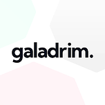 Logo Galadrim