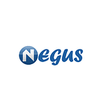 Logo NEGUS GROUP