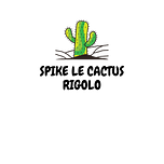 Logo cactusjouet.com