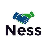 Logo Ness Business 