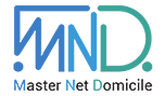 Logo Master Net Domicile
