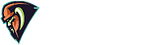 Logo Viking Production