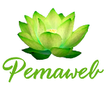 Logo Pemaweb