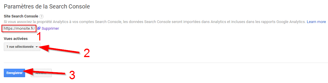 sélectionner la vue Google Search Console