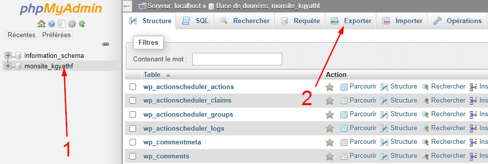 backup WordPress sauvegarder site